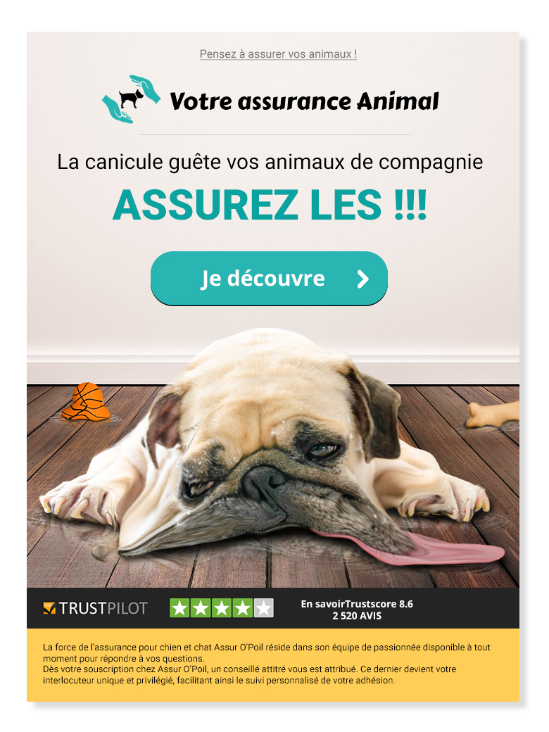 Email Assuropoil assurance animal pour chien et chat